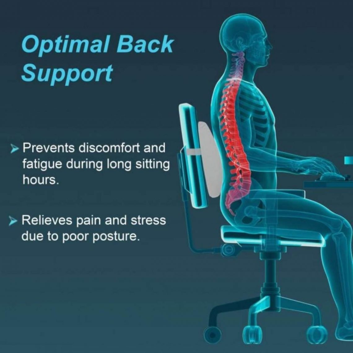 Tynor Lumbo Back Rest (Back Support, Grey) Universal FitMax