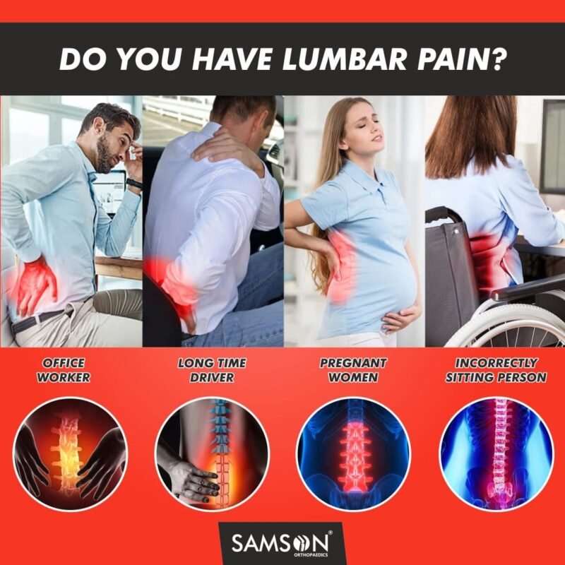 SAMSON Lumbo-Back Rest (Moulded Foam) (LS-0412) - Image 4