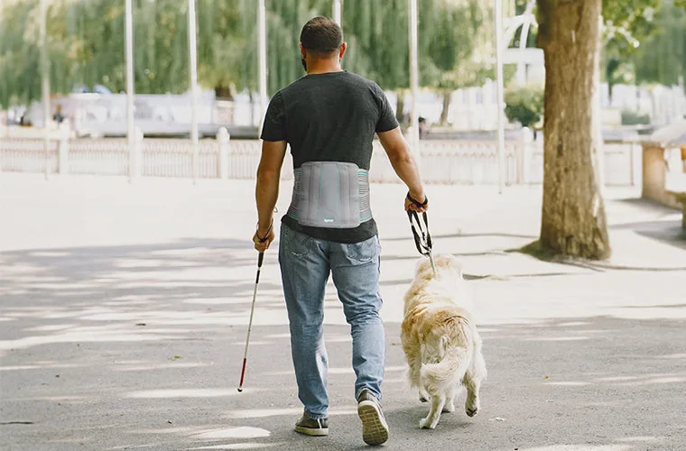 Man in a black T-shirt walking a golden dog along a tree-lined park path, wearing the Tynor Contoured L.S. Support